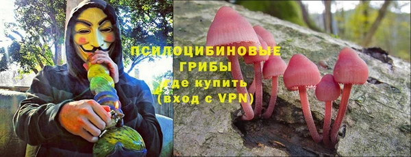 стафф Покровск