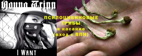 спайс Абинск